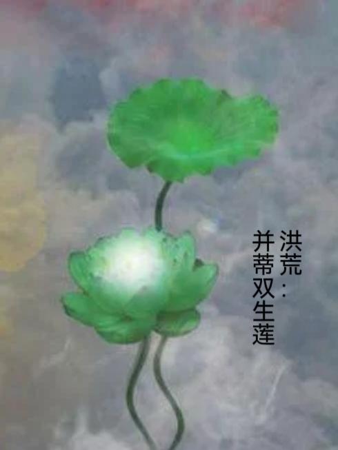 洪荒双修曦和